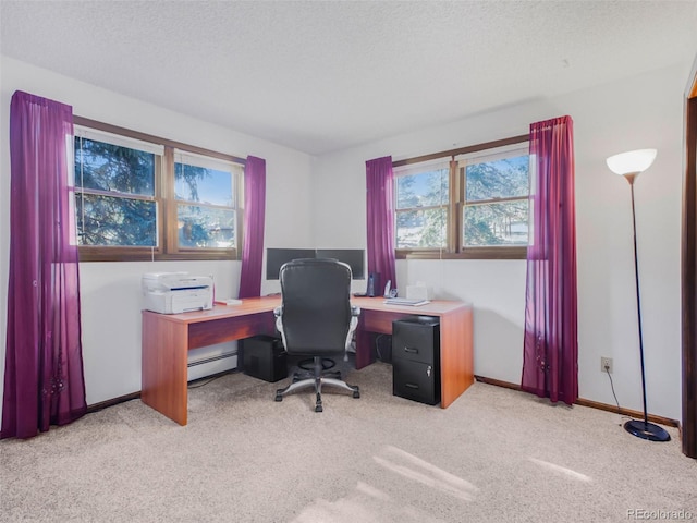8473 Gray Fox Dr, Evergreen, CO 80439 - carpeted home office featuring baseboards and baseboard heating