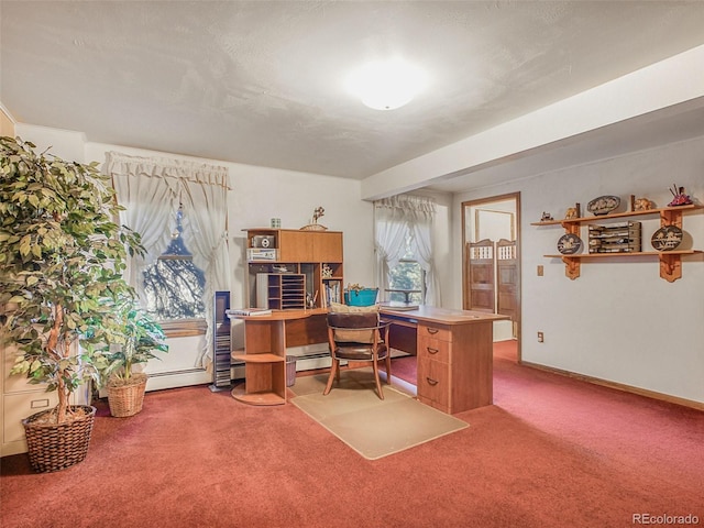 8473 Gray Fox Dr, Evergreen, CO 80439 - carpeted home office featuring baseboards