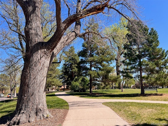 surrounding community with a yard