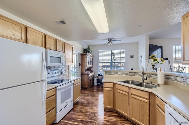 kitchen with light brown cabinetry, white appliances, a healthy amount of sunlight, and sink