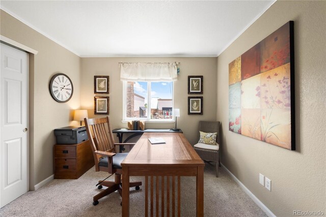 19716 Glendale Ln, Parker, CO 80134 - photo 19
