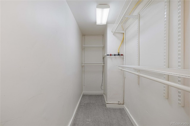 spacious closet with carpet flooring