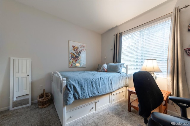 8338 S Independence Cir Unit 108, Littleton, CO 80128 - bedroom featuring carpet floors and a desk