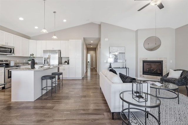 kitchen featuring a tiled fireplace, open floor plan, a kitchen breakfast bar, stainless steel appliances, and dark wood-style flooring