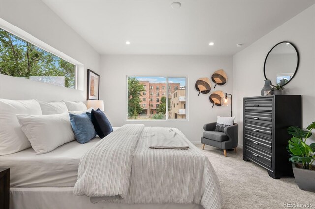 2124 S Cherokee St, Denver, CO 80223 - photo 22