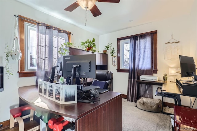 office area with ceiling fan and carpet floors