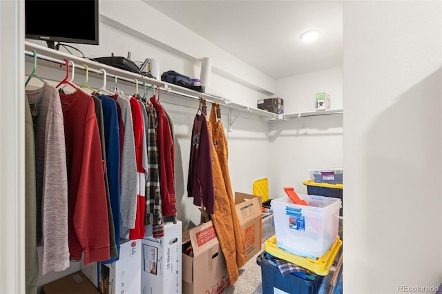 view of spacious closet