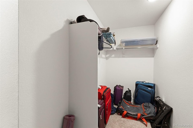 walk in closet with carpet