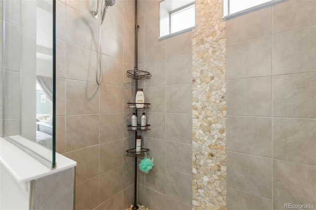 full bath with a walk in shower