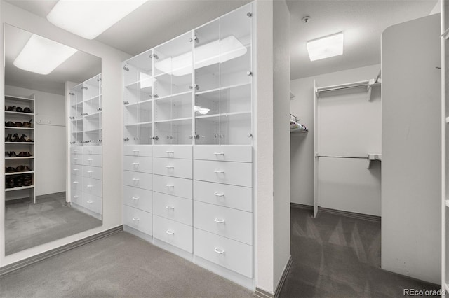 spacious closet with carpet floors