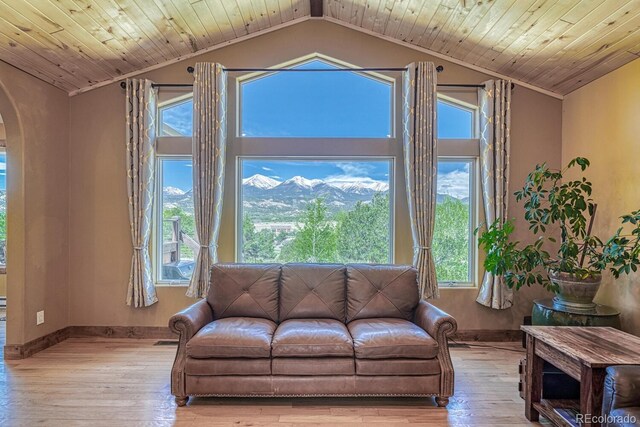 12300 County Road 195, Salida, CO 81201 - photo 10