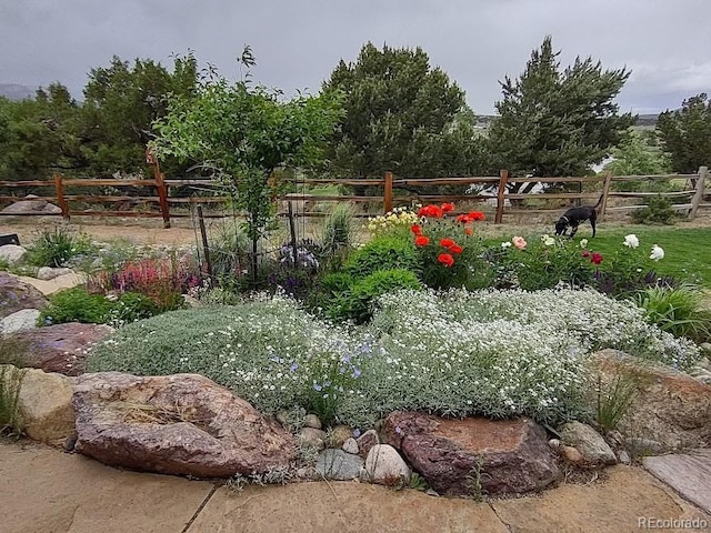12300 County Road 195, Salida, CO 81201 - photo 40