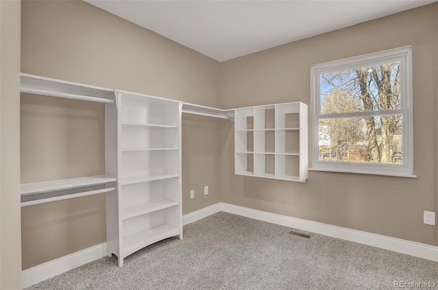 spacious closet with carpet