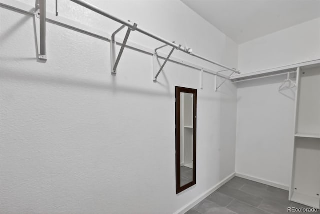 7330 Cotton Dr, Colorado Springs, CO 80923 - view of walk in closet