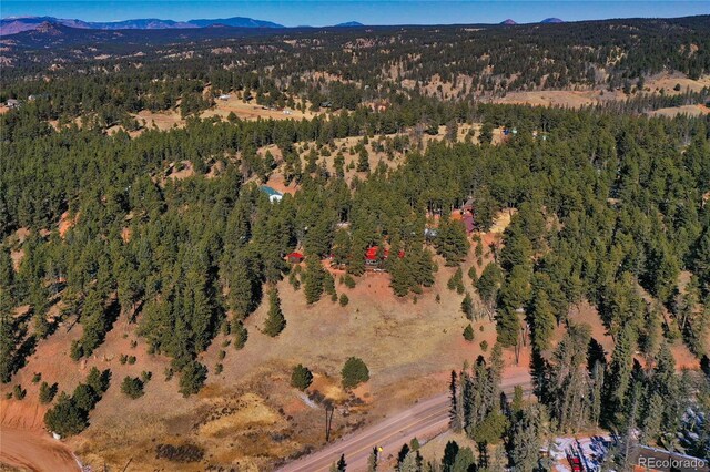 683 Kingston Dr, Florissant CO, 80816 land for sale