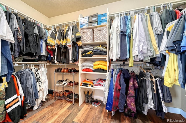 spacious closet featuring wood finished floors