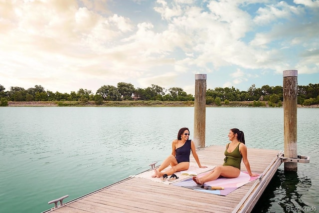 dock area with a water view