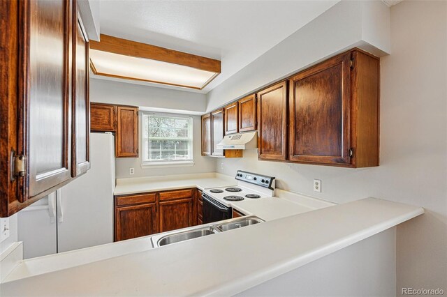 kitchen featuring white range with electric stovetop, under cabinet range hood, light countertops, and a sink
