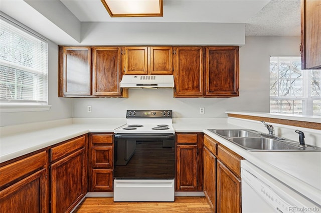 kitchen featuring a wealth of natural light, range with electric cooktop, white dishwasher, a sink, and ventilation hood