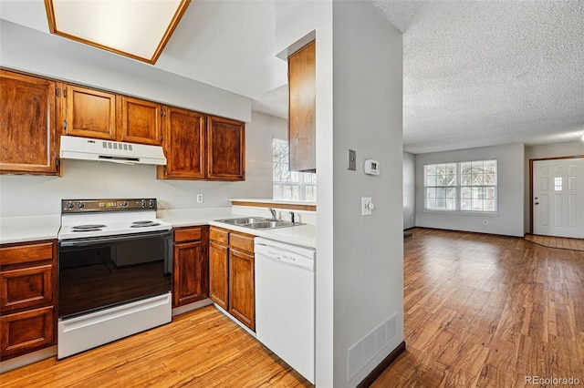 kitchen with white appliances, under cabinet range hood, light countertops, a sink, and open floor plan