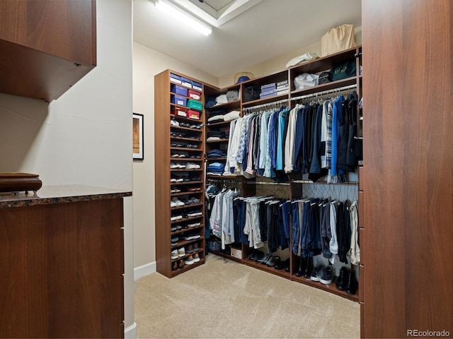 2363 Primo Rd Unit A, Highlands Ranch, CO 80129 - walk in closet with carpet flooring
