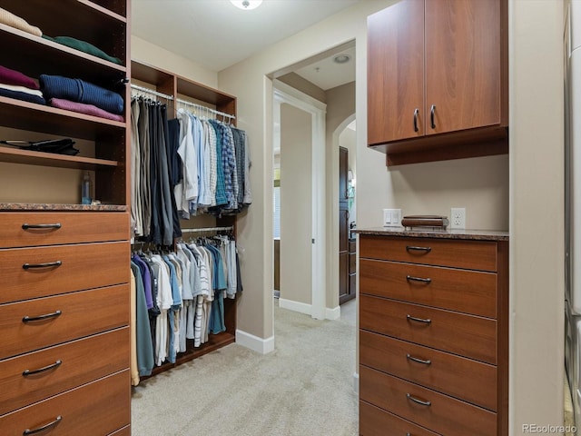 2363 Primo Rd Unit A, Highlands Ranch, CO 80129 - walk in closet with arched walkways and light carpet