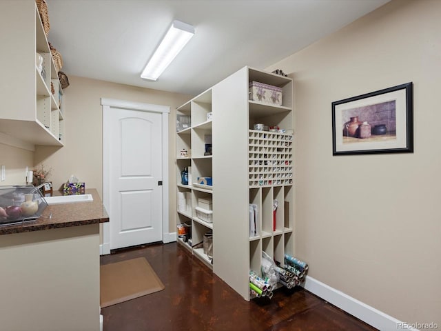 2363 Primo Rd Unit A, Highlands Ranch, CO 80129 - spacious closet featuring a sink