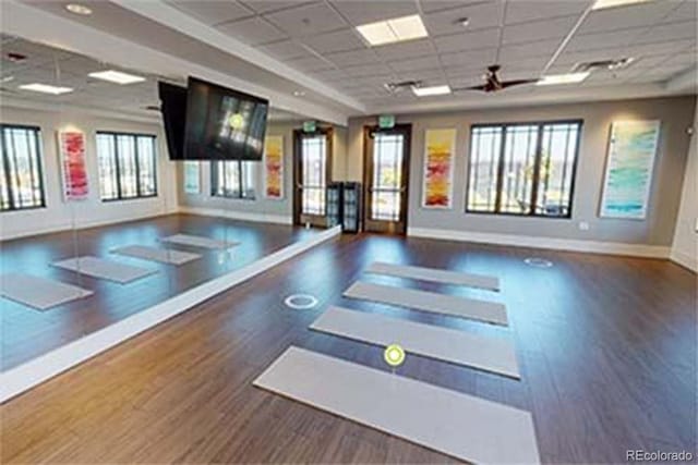 exercise area with ceiling fan, a drop ceiling, and dark hardwood / wood-style flooring