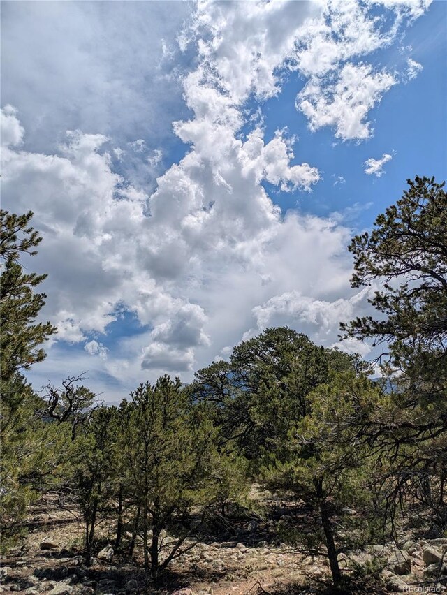 3729 Enchanted Way, Crestone, CO 81131 - photo 3