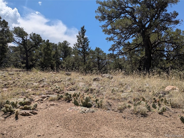3729 Enchanted Way, Crestone, CO 81131 - photo 11
