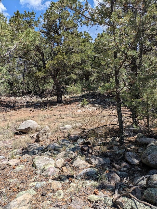 3729 Enchanted Way, Crestone, CO 81131 - photo 13