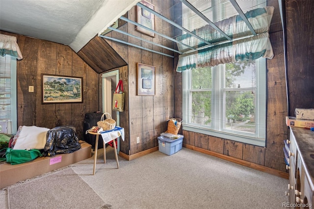 2402 W Uintah St, Colorado Springs, CO 80904 - miscellaneous room featuring wooden walls, carpet floors, and lofted ceiling