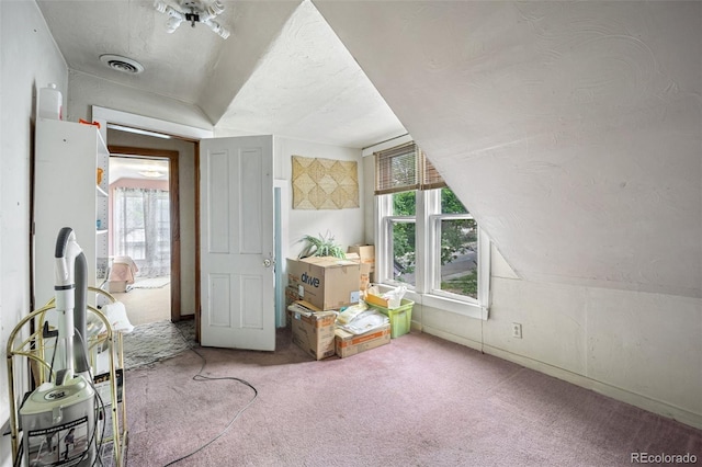 2402 W Uintah St, Colorado Springs, CO 80904 - additional living space featuring carpet floors, lofted ceiling, and a textured ceiling