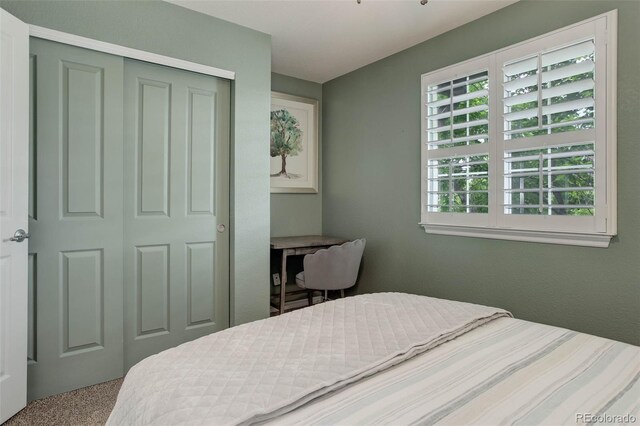 3070 Redhaven Way, Highlands Ranch, CO 80126 - photo 28