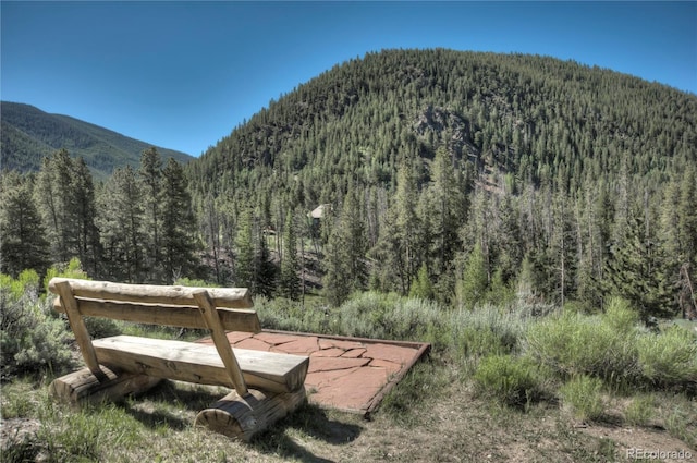 21650 US Highway 6 Unit 2096, Dillon, CO 80435 - view of mountain background featuring a heavily wooded area