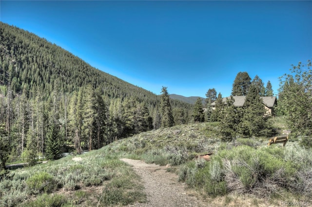 21650 US Highway 6 Unit 2096, Dillon, CO 80435 - view of mountain background with a heavily wooded area