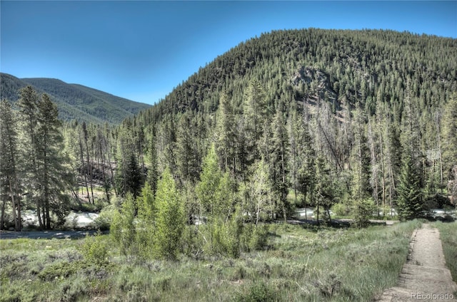 21650 US Highway 6 Unit 2096, Dillon, CO 80435 - mountain view featuring a heavily wooded area