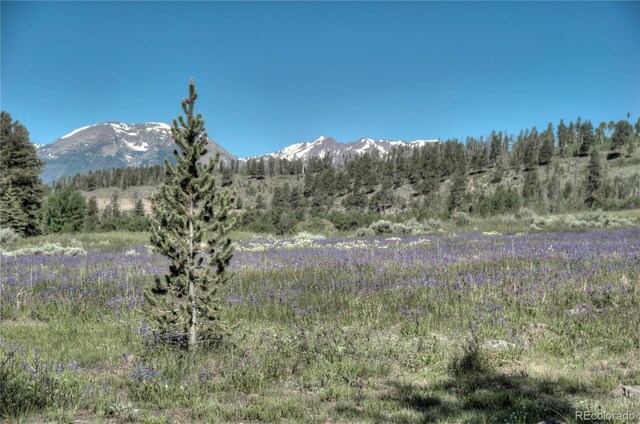 21650 US Highway 6 Unit 2096, Dillon, CO 80435 - mountain view