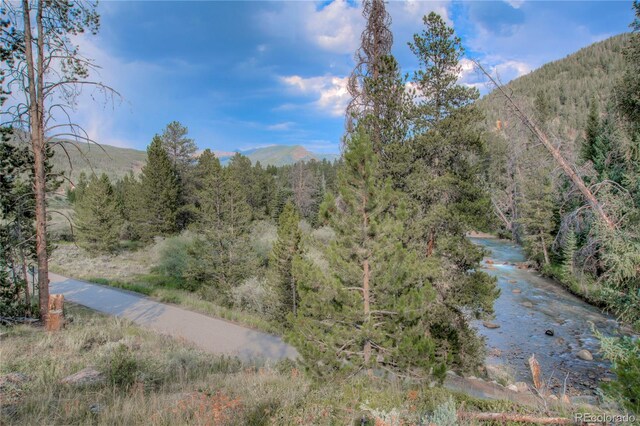 21650 US Highway 6 Unit 2096, Dillon, CO 80435 - view of mountain backdrop with a heavily wooded area