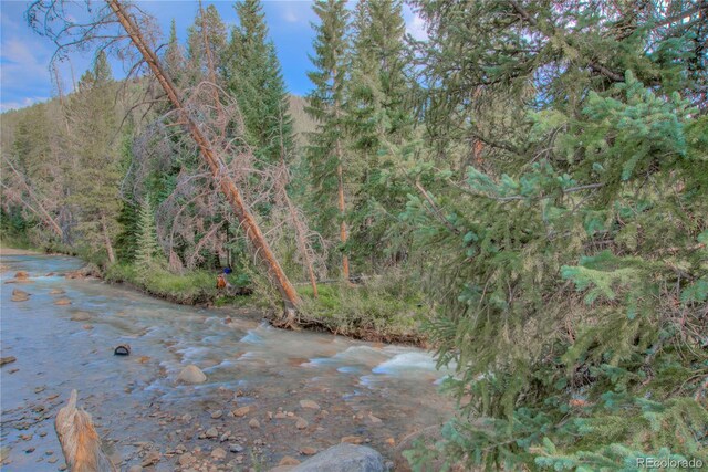 21650 US Highway 6 Unit 2096, Dillon, CO 80435 - water view featuring a forest