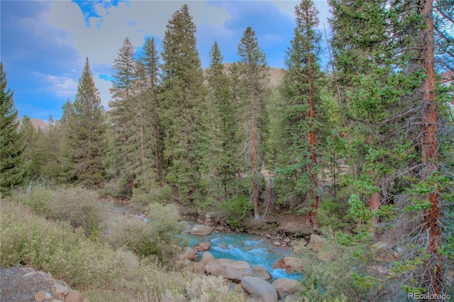21650 US Highway 6 Unit 2096, Dillon, CO 80435 - view of woods