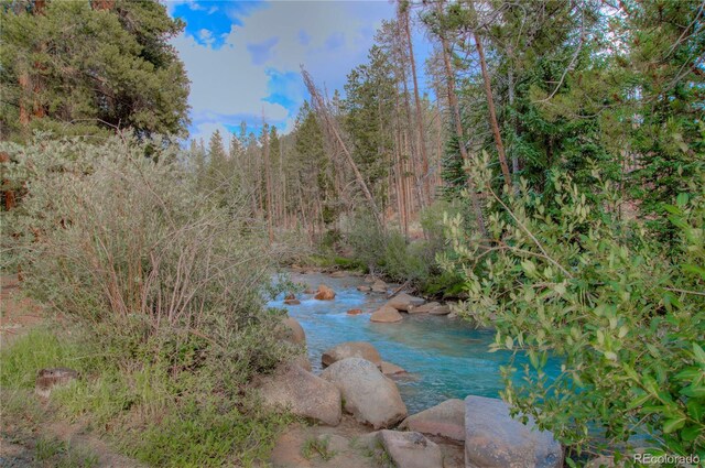 21650 US Highway 6 Unit 2096, Dillon, CO 80435 - water view with a forest