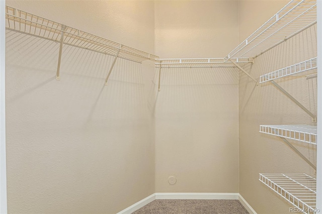 walk in closet with carpet floors