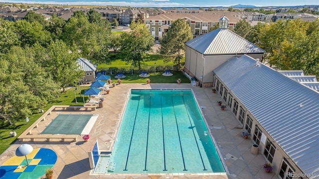 community pool with a patio, a yard, and a residential view