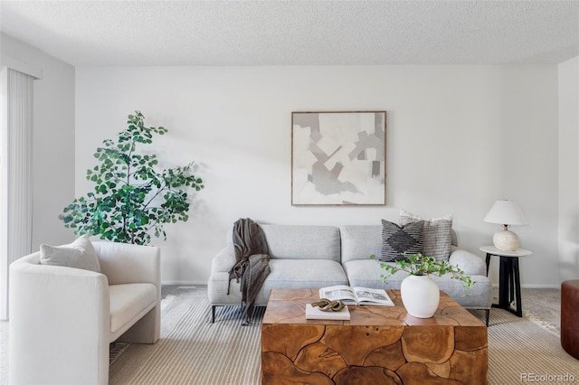 9453 W Utah Pl, Lakewood, CO 80232 - living room featuring carpet flooring and a textured ceiling