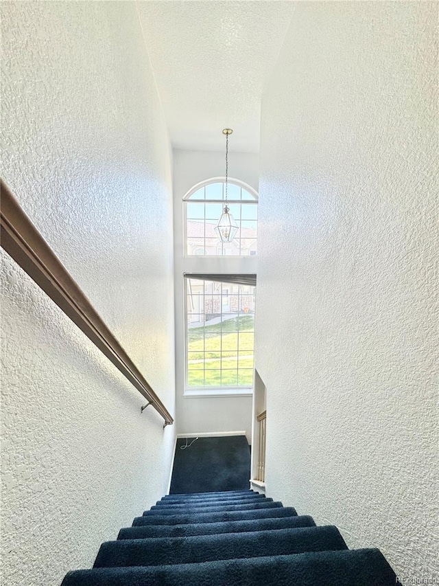 2247 Coronado Pkwy N # D, Denver, CO 80229 - stairs featuring a textured wall and carpet floors
