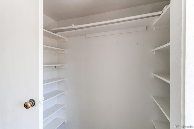 view of spacious closet