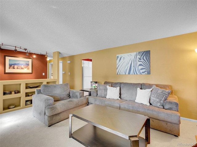 13133 Regulus Dr, Lone Tree, CO 80124 - living area with carpet floors, rail lighting, and a textured ceiling