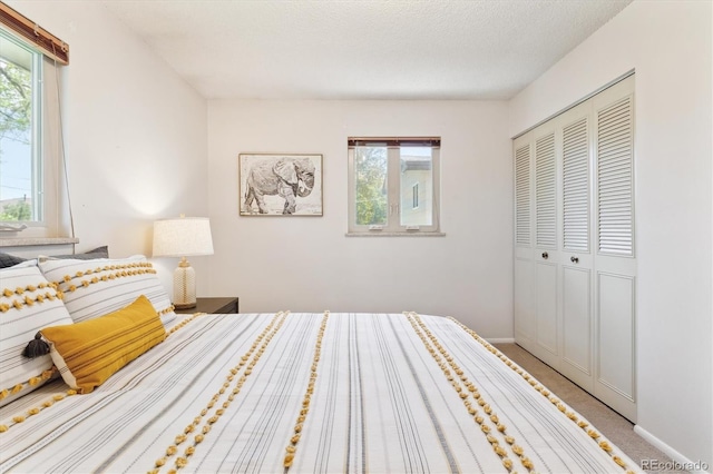 3298 Quail St, Wheat Ridge, CO 80033 - bedroom with a closet, carpet, and baseboards