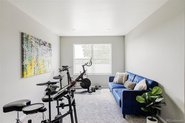 5099 S Robb St, Littleton, CO 80127 - exercise area featuring carpet floors and baseboards